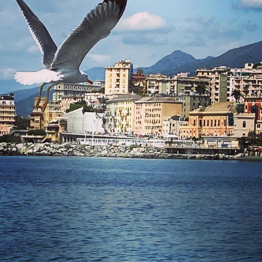 La Casa Dei Sogni Di Dory Apartment Genova Exterior foto
